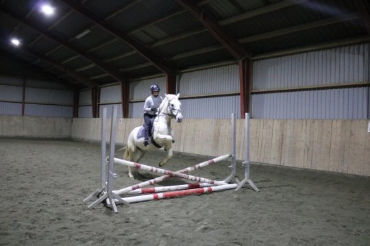 Hoppe, Kat. I fra 2008