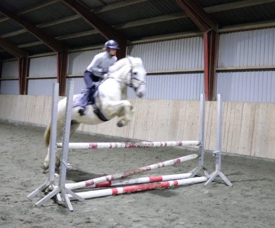 Hoppe, Kat. I fra 2008